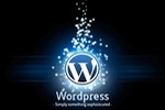 wordpress2